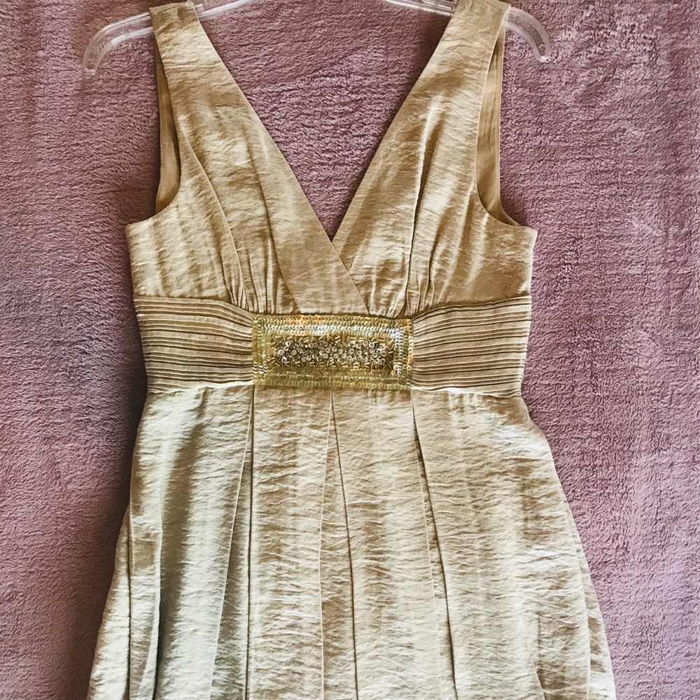 BCBGMaxAzria brushed gold dress
